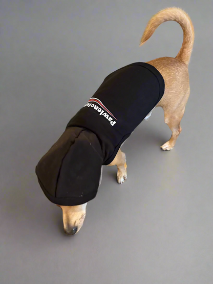 'PAWLENCIAGA' - Pet Hoodie