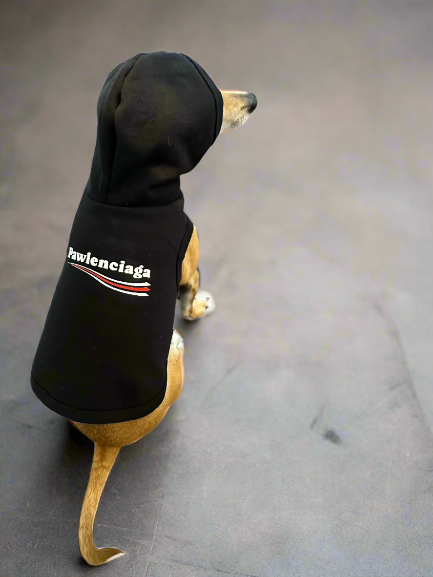 PAWLENCIAGA Pet Hoodie