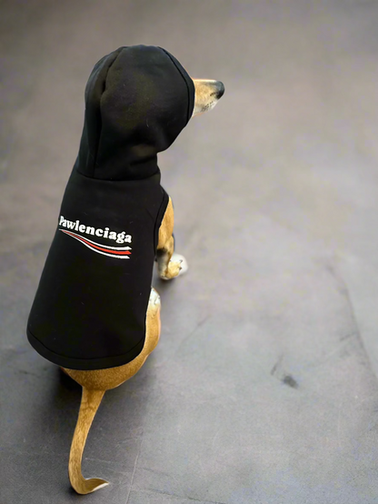 'PAWLENCIAGA' - Pet Hoodie